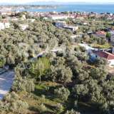  For Sale - (€ 0 / m2), Plot 506.60 m2 Agria 8148715 thumb7