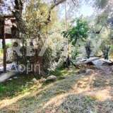  For Sale - (€ 0 / m2), Plot 506.60 m2 Agria 8148715 thumb9