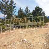  Land in the area  Bansko city 7748955 thumb2