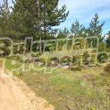 Land in the area  Bansko city 7748955 thumb3