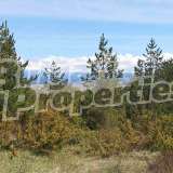  Land in the area  Bansko city 7748955 thumb4