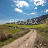  For Sale - (€ 0 / m2), Agricultural 38550 m2 Aisonia 6049125 thumb0