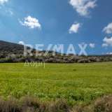  For Sale - (€ 0 / m2), Agricultural 38550 m2 Aisonia 6049125 thumb5