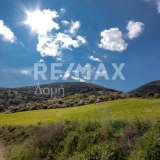  For Sale - (€ 0 / m2), Agricultural 38550 m2 Aisonia 6049125 thumb2