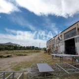  For Sale - (€ 0 / m2), Industrial Site 1500 m2 Aisonia 6049131 thumb5