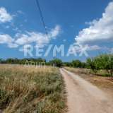  For Sale - (€ 0 / m2), Agricaltural 5210 m2 Aisonia 6049218 thumb1