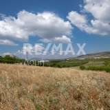  For Sale - (€ 0 / m2), Agricaltural 5210 m2 Aisonia 6049218 thumb5