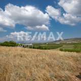  For Sale - (€ 0 / m2), Agricaltural 5210 m2 Aisonia 6049218 thumb8