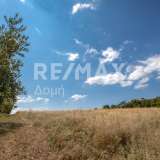  For Sale - (€ 0 / m2), Agricaltural 5210 m2 Aisonia 6049218 thumb2