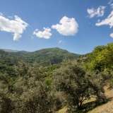  For Sale - (€ 0 / m2), Agricaltural 4186 m2 Zagora 6049357 thumb7