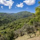  For Sale - (€ 0 / m2), Agricaltural 4186 m2 Zagora 6049357 thumb6