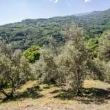  For Sale - (€ 0 / m2), Agricaltural 4186 m2 Zagora 6049357 thumb5