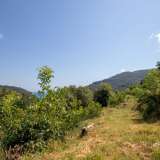  For Sale - (€ 0 / m2), Agricultural 4005 m2 Mouresi 6049460 thumb8
