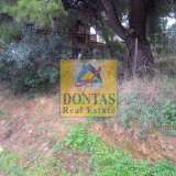  (For Sale) Land Plot || East Attica/Afidnes (Kiourka) - 4.200 Sq.m, 225.000€ Afidnes 7749523 thumb4