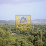  (For Sale) Land Plot || East Attica/Afidnes (Kiourka) - 2.100 Sq.m, 110.000€ Afidnes 7749525 thumb4