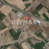  For Sale - (€ 0 / m2), Agricultural 8013 m2 Feron 6049534 thumb2