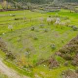  For Sale - (€ 0 / m2), Agricultural 3125 m2 Pierea 8149568 thumb9