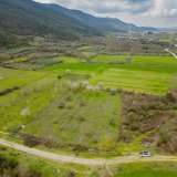  For Sale - (€ 0 / m2), Agricultural 3125 m2 Pierea 8149568 thumb6