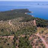  For Sale - (€ 0 / m2), Agricultural 5107 m2 Thasos 8149607 thumb2