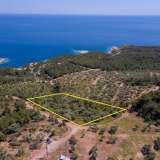 For Sale - (€ 0 / m2), Agricultural 5107 m2 Thasos 8149607 thumb0