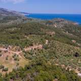  For Sale - (€ 0 / m2), Agricultural 5107 m2 Thasos 8149607 thumb6
