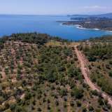  For Sale - (€ 0 / m2), Agricultural 5107 m2 Thasos 8149607 thumb9