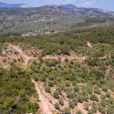  For Sale - (€ 0 / m2), Agricultural 5107 m2 Thasos 8149607 thumb7