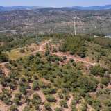  For Sale - (€ 0 / m2), Agricultural 5107 m2 Thasos 8149607 thumb8