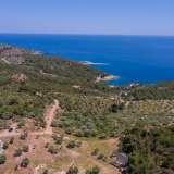  For Sale - (€ 0 / m2), Agricultural 5107 m2 Thasos 8149607 thumb5