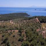  For Sale - (€ 0 / m2), Agricultural 5107 m2 Thasos 8149607 thumb3