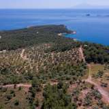  For Sale - (€ 0 / m2), Agricultural 5107 m2 Thasos 8149607 thumb4