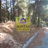  (For Sale) Land Plot || East Attica/Dionysos - 830 Sq.m, 350.000€ Dionysos 7949787 thumb3
