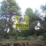  (For Sale) Land Plot || East Attica/Dionysos - 800 Sq.m, 350.000€ Dionysos 7949790 thumb1