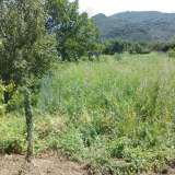  For Sale - (€ 0 / m2), Agricultural 2195 m2 Afetes 6049845 thumb1