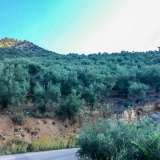  For Sale - (€ 0 / m2), Agricultural 9724 m2 Agria 6049876 thumb9