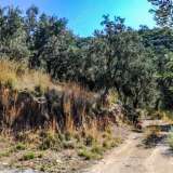  For Sale - (€ 0 / m2), Agricultural 9724 m2 Agria 6049876 thumb4