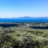  For Sale - (€ 0 / m2), Agricultural 9724 m2 Agria 6049876 thumb0