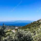  For Sale - (€ 0 / m2), Agricultural 9724 m2 Agria 6049876 thumb1