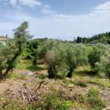  For Sale - (€ 0 / m2), Agricultural 1063 m2 Lefkada 8205167 thumb6
