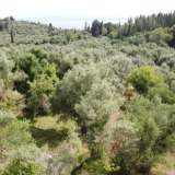  For Sale - (€ 0 / m2), Agricultural 1063 m2 Lefkada 8205167 thumb0