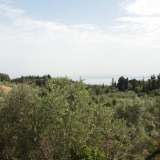  For Sale - (€ 0 / m2), Agricultural 1063 m2 Lefkada 8205167 thumb4