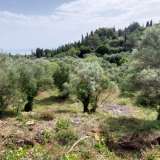  For Sale - (€ 0 / m2), Agricultural 1063 m2 Lefkada 8205167 thumb7