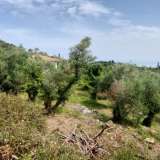  For Sale - (€ 0 / m2), Agricultural 1063 m2 Lefkada 8205167 thumb5