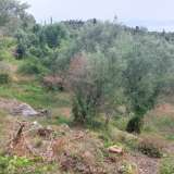  For Sale - (€ 0 / m2), Agricultural 1063 m2 Lefkada 8205167 thumb8