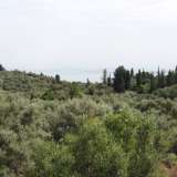  For Sale - (€ 0 / m2), Agricultural 1063 m2 Lefkada 8205167 thumb3