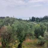  For Sale - (€ 0 / m2), Agricultural 1063 m2 Lefkada 8205167 thumb9