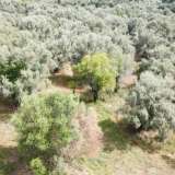  For Sale - (€ 0 / m2), Agricultural 1063 m2 Lefkada 8205167 thumb2