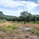  For Sale - (€ 0 / m2), Agricultural 2001 m2 Lefkada 8205183 thumb0