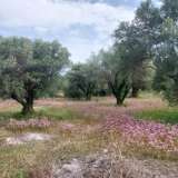  For Sale - (€ 0 / m2), Agricultural 2001 m2 Lefkada 8205183 thumb3