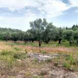  For Sale - (€ 0 / m2), Agricultural 2001 m2 Lefkada 8205183 thumb5